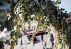 que propose entreprise nature event matiere decoration vegetale